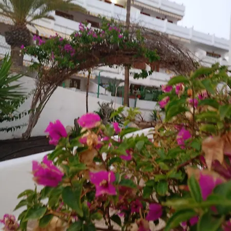 דירה Penthous 2 Bed Room - Jacuzzi - Terrace - Pool *