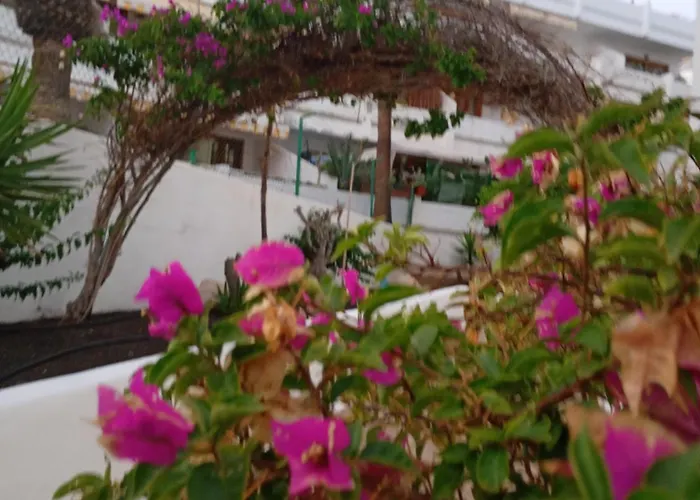 Appartamento - Sleeps 4 - Jacuzzi - Terrace - Pool *